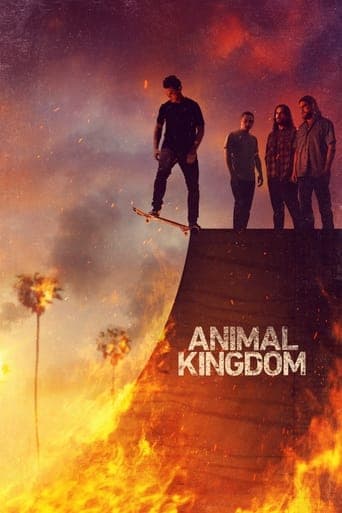 Animal Kingdom Ver Online Castellano